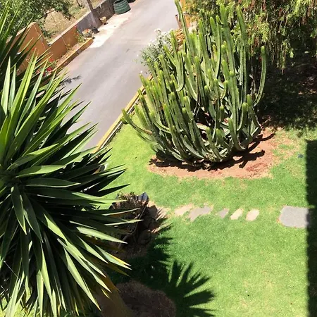 En Apartamento La Laguna (Tenerife)